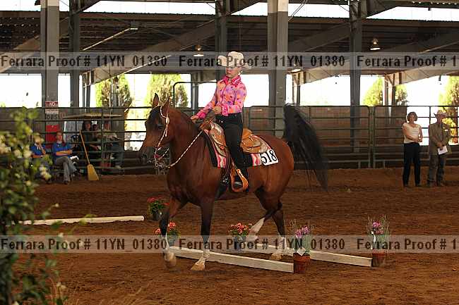 Proof 11yn_01380