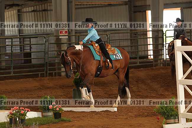 Proof 11yn_01381