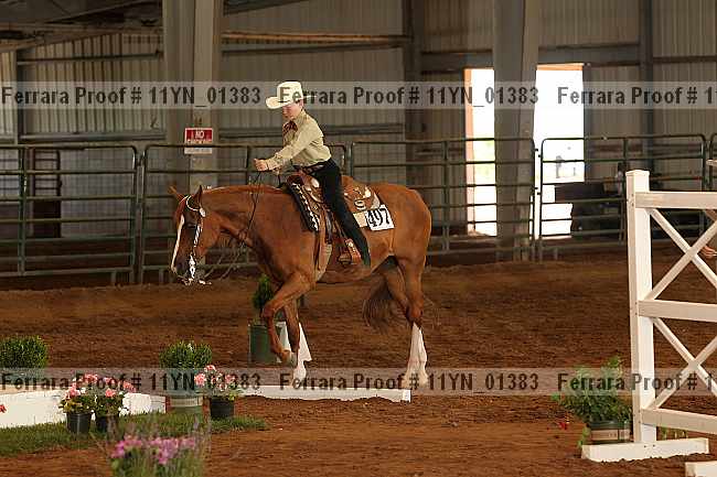Proof 11yn_01383