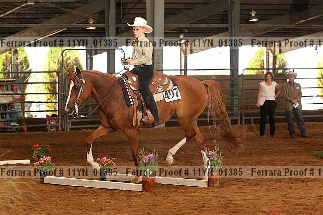 Proof 11yn_01385