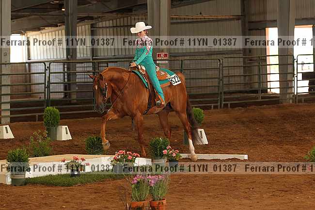 Proof 11yn_01387