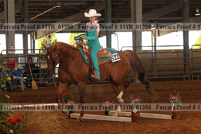 Proof 11yn_01390