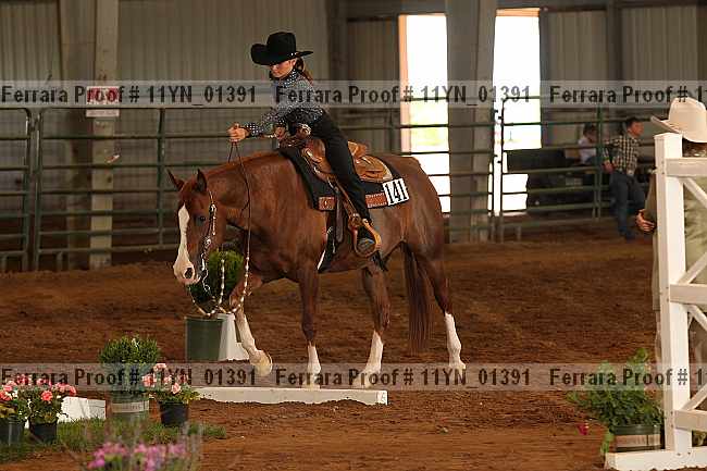 Proof 11yn_01391