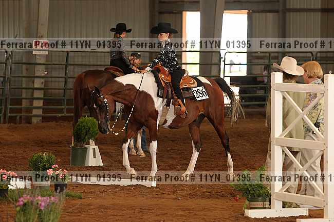 Proof 11yn_01395