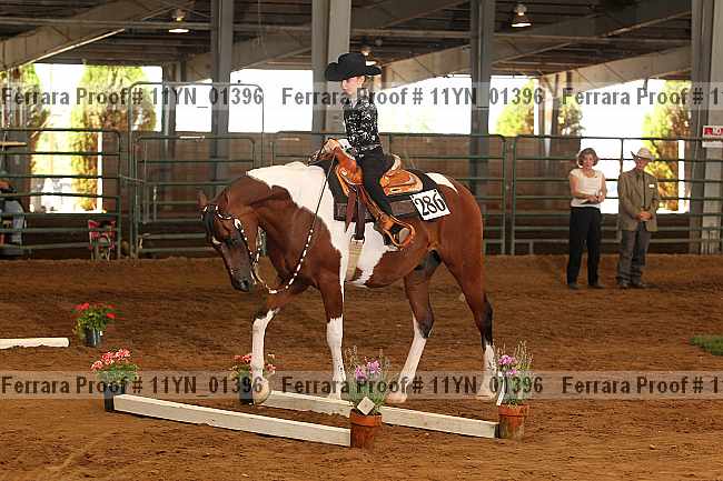 Proof 11yn_01396