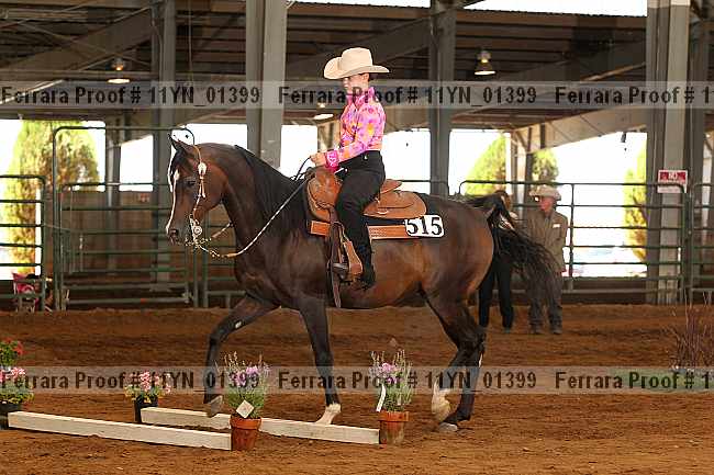 Proof 11yn_01399