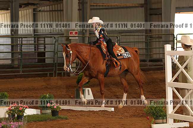 Proof 11yn_01401