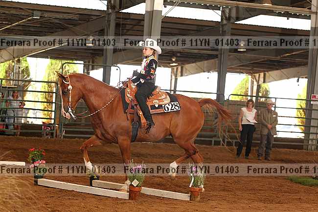 Proof 11yn_01403