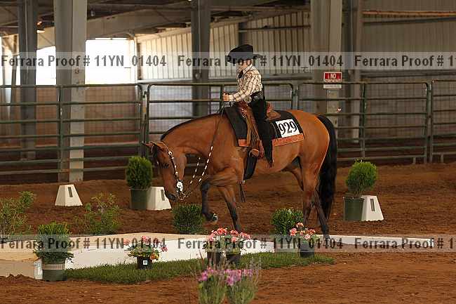 Proof 11yn_01404
