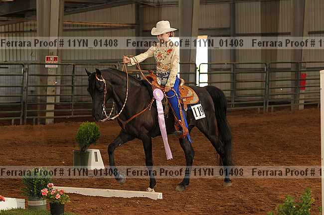 Proof 11yn_01408