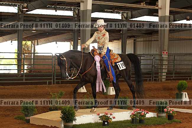 Proof 11yn_01409