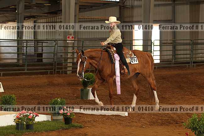 Proof 11yn_01410