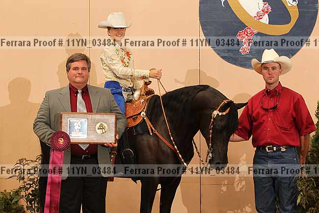 Proof 11yn_03484