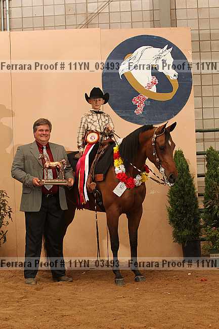 Proof 11yn_03493