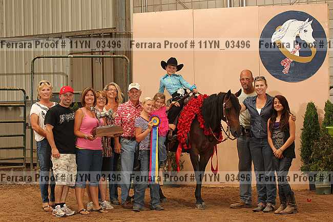 Proof 11yn_03496