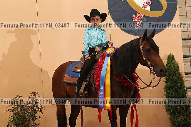 Proof 11yn_03497