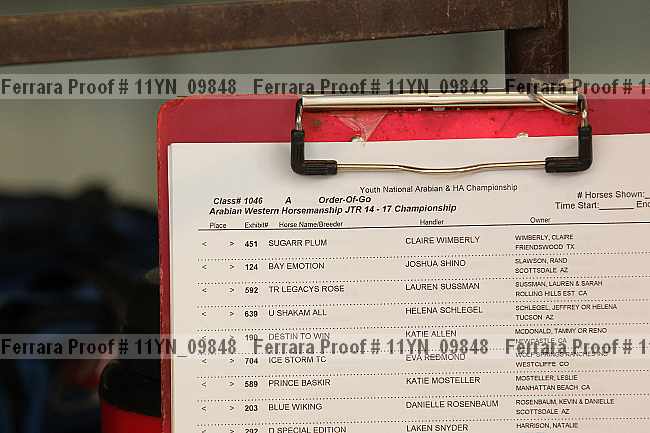Proof 11yn_09848