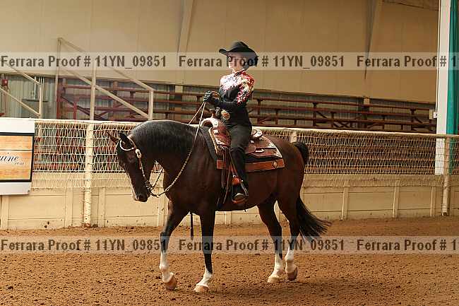 Proof 11yn_09851