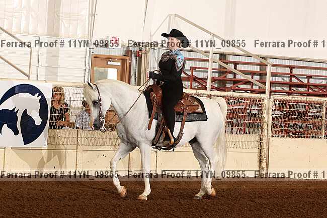 Proof 11yn_09855