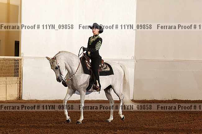 Proof 11yn_09858