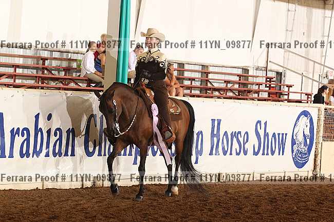 Proof 11yn_09877
