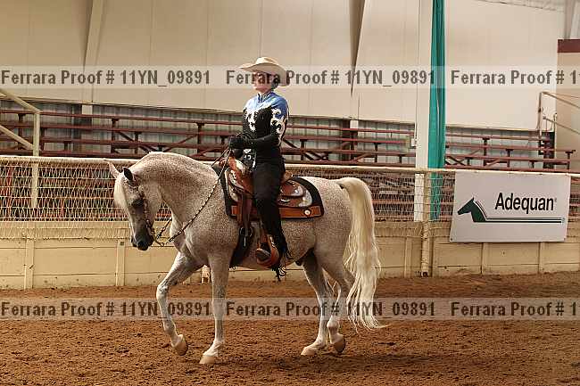 Proof 11yn_09891