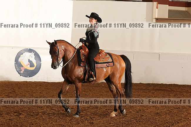 Proof 11yn_09892