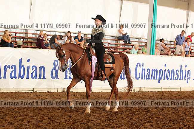 Proof 11yn_09907