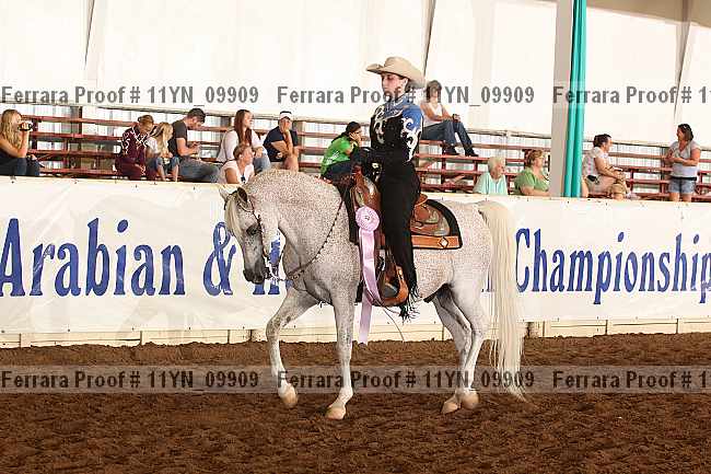 Proof 11yn_09909