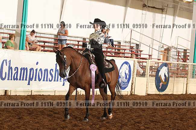 Proof 11yn_09910