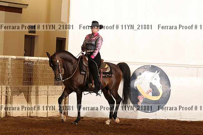 Proof 11yn_21881