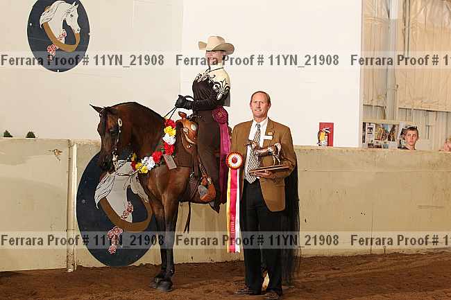 Proof 11yn_21908