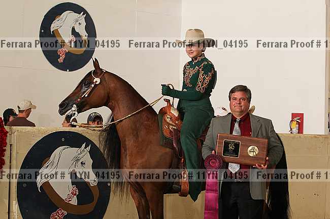 Proof 11yn_04195