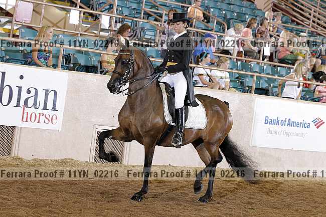 Proof 11yn_02216
