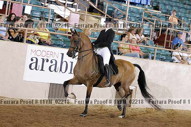 Proof 11yn_02218