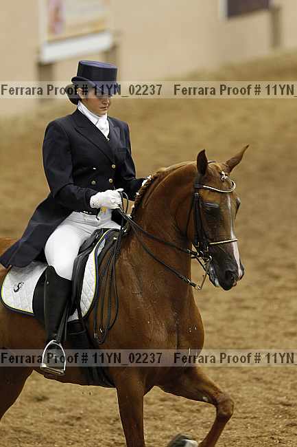 Proof 11yn_02237