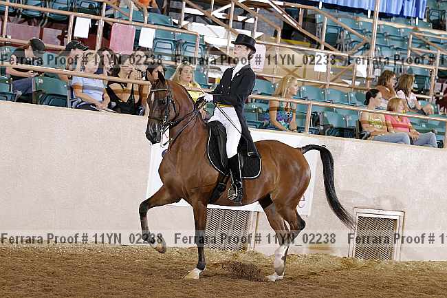Proof 11yn_02238