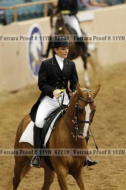 Proof 11yn_02239