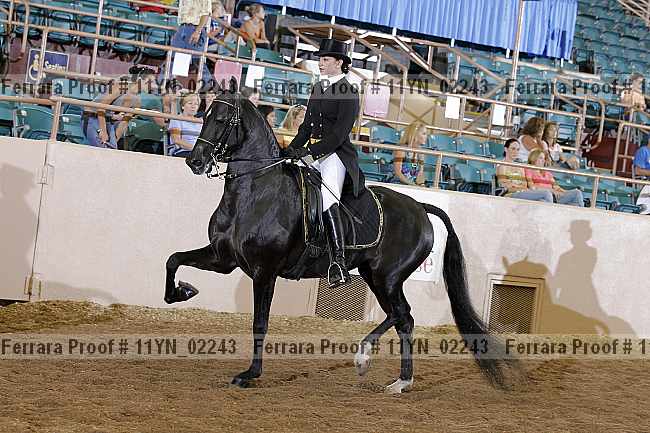 Proof 11yn_02243