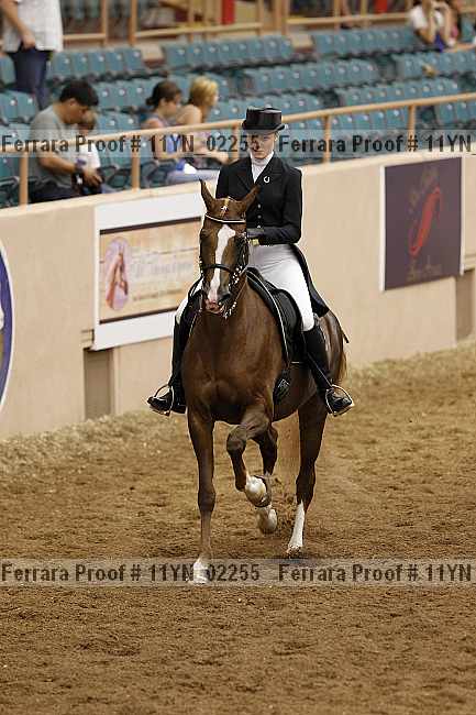 Proof 11yn_02255