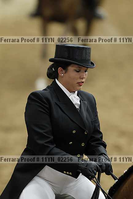 Proof 11yn_02256