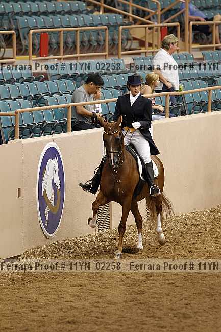 Proof 11yn_02258