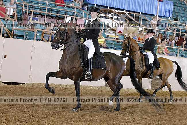 Proof 11yn_02261