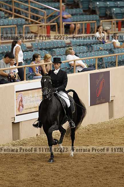 Proof 11yn_02273
