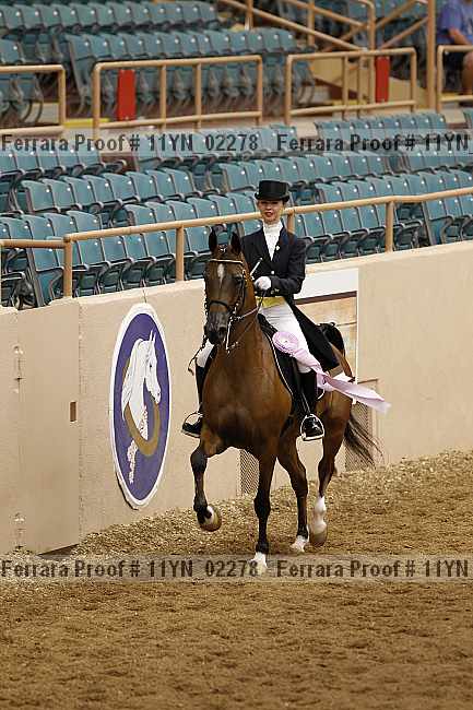 Proof 11yn_02278