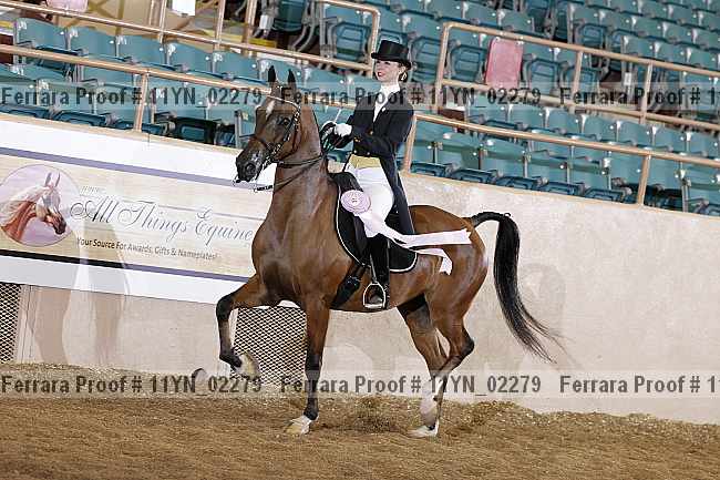 Proof 11yn_02279