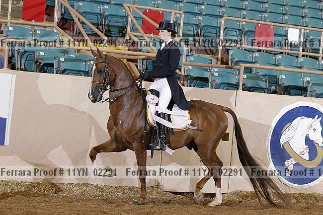 Proof 11yn_02291