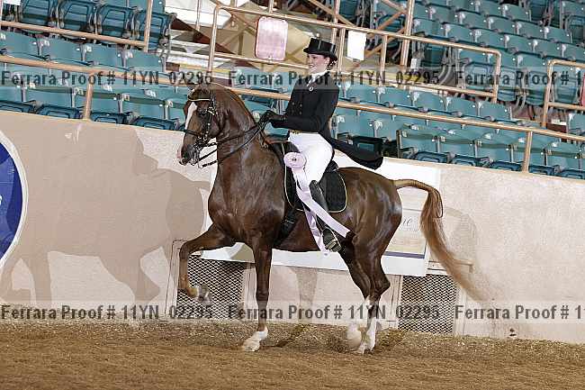 Proof 11yn_02295