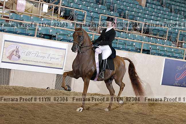 Proof 11yn_02304