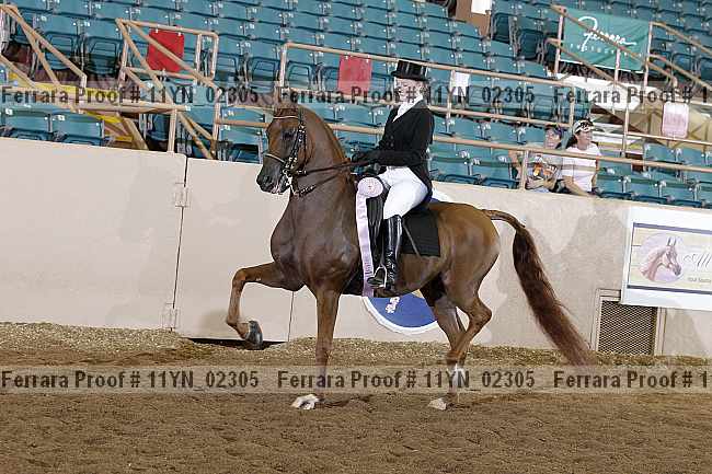 Proof 11yn_02305